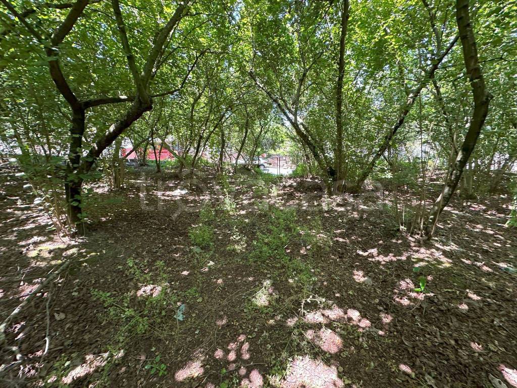 immagine annuncio 2 di 9