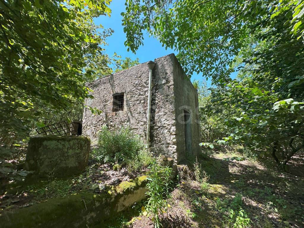 immagine annuncio 6 di 9