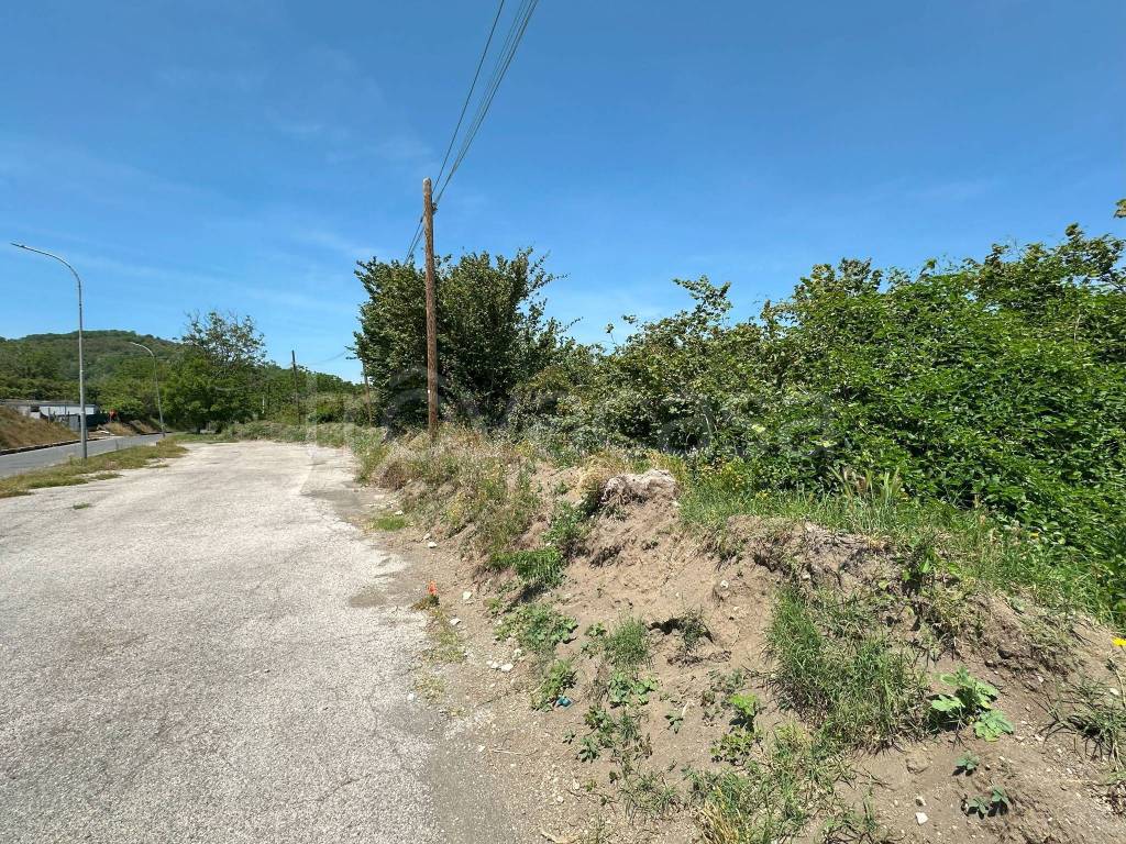 immagine annuncio 7 di 9