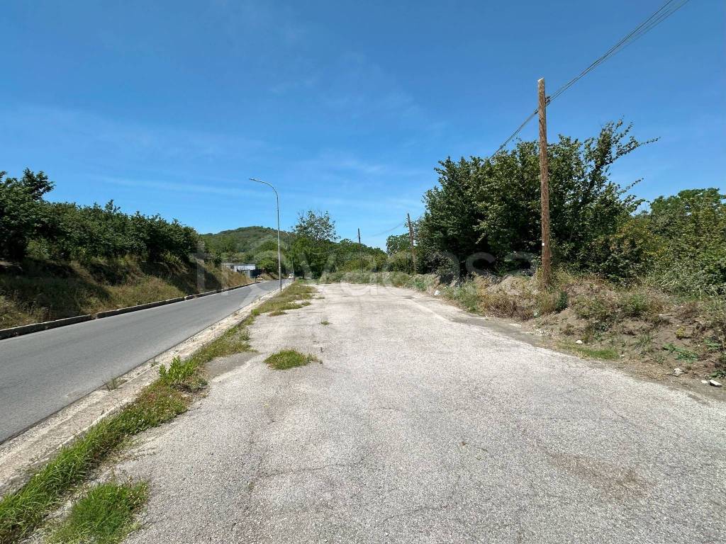 immagine annuncio 8 di 9