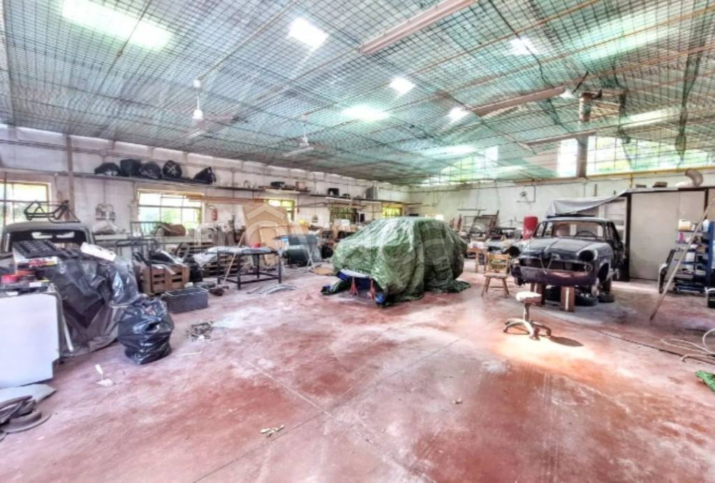 immagine annuncio 6 di 10