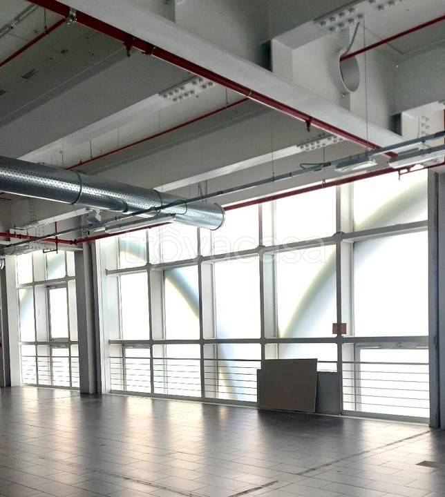 immagine annuncio 2 di 6