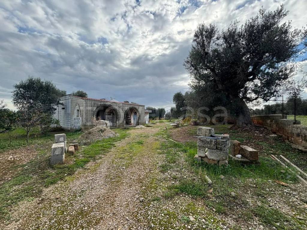 immagine annuncio 2 di 12