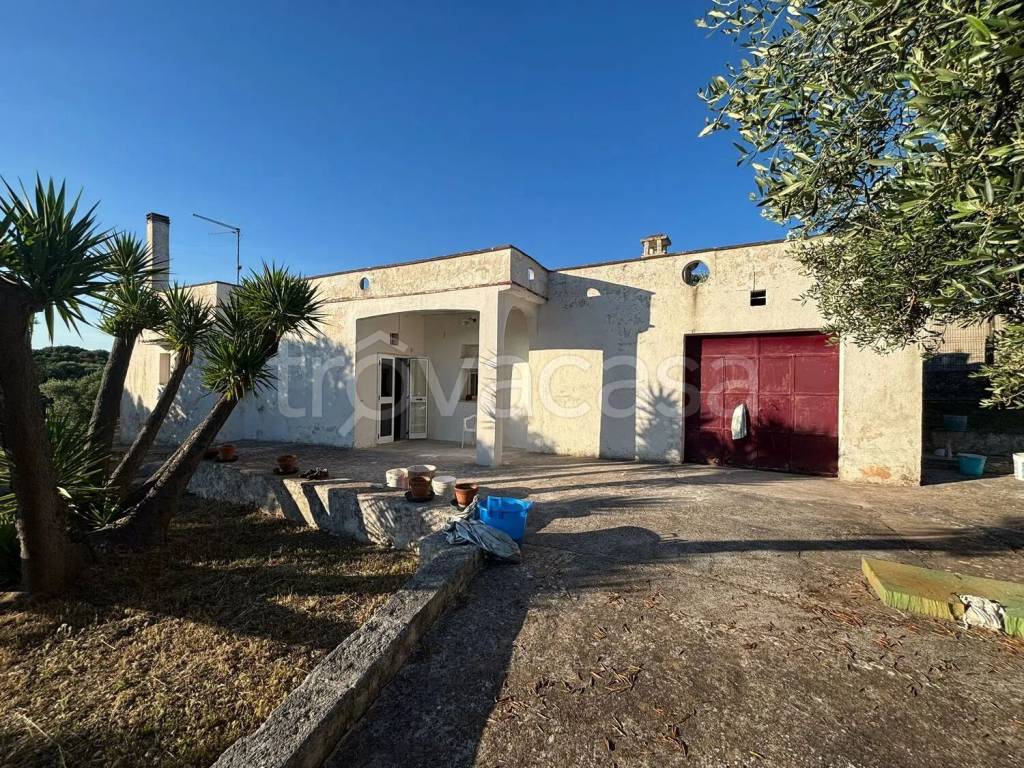 immagine annuncio 2 di 11