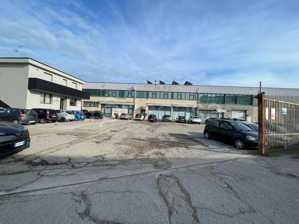 immagine annuncio 3 di 7