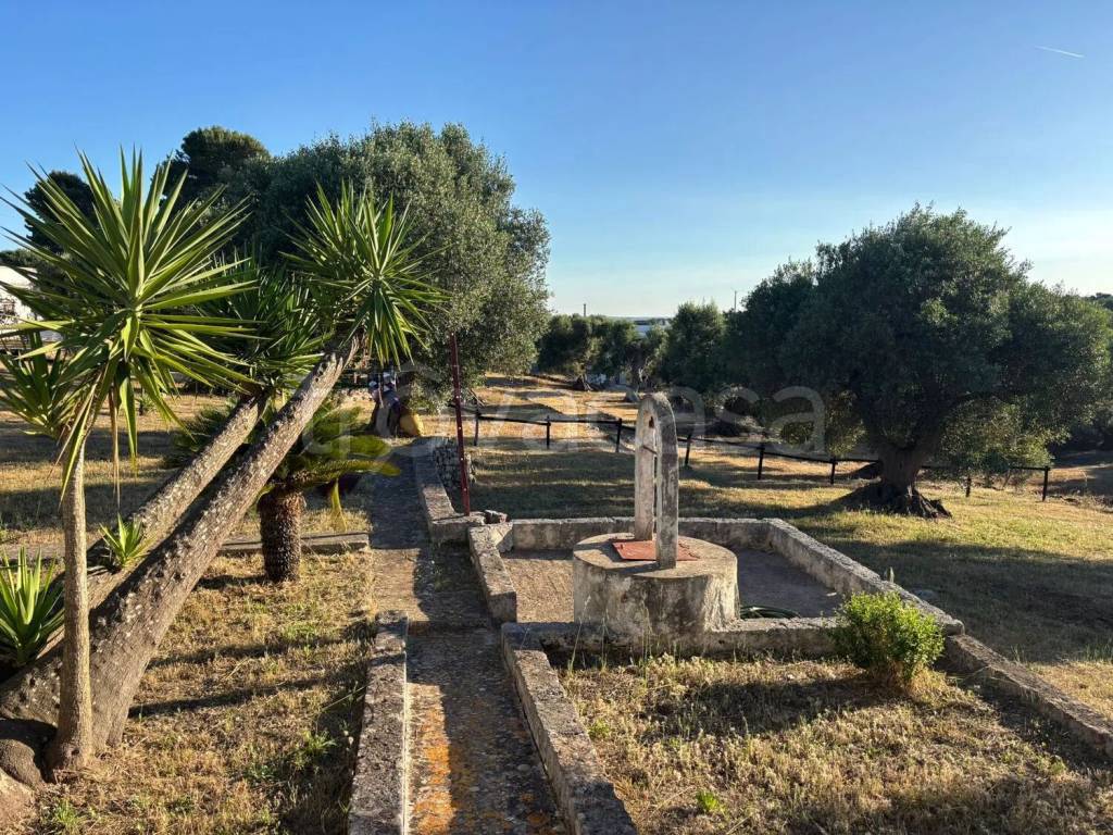 immagine annuncio 4 di 11