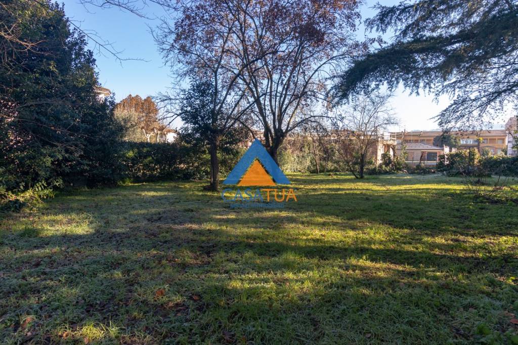 immagine annuncio 2 di 6