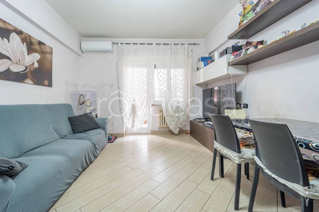 immagine annuncio 6 di 15