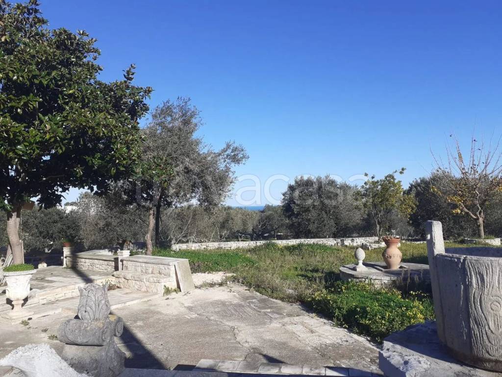 immagine annuncio 8 di 9