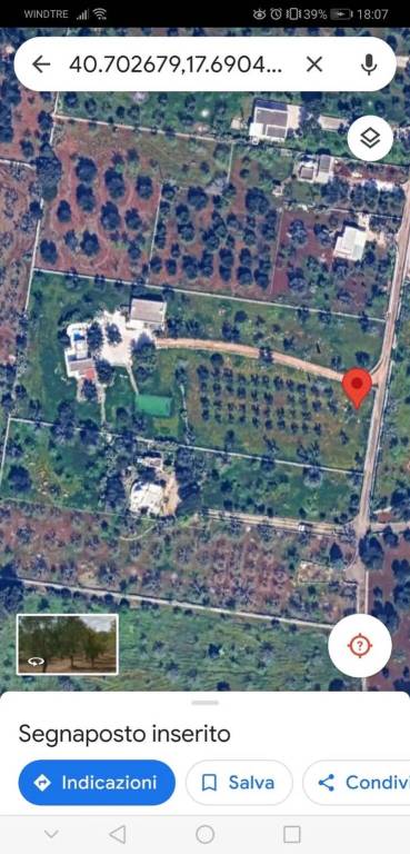 immagine annuncio 11 di 15