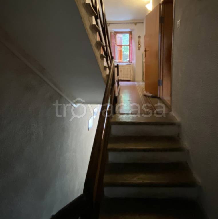 immagine annuncio 7 di 14