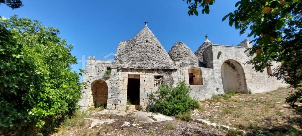 immagine annuncio 2 di 11