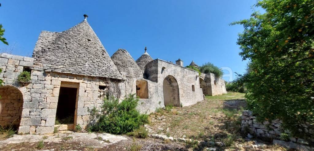 immagine annuncio 3 di 11