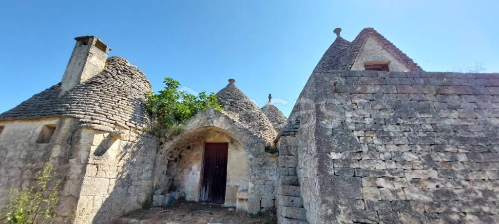 immagine annuncio 5 di 11