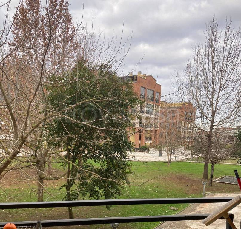 immagine annuncio 4 di 12