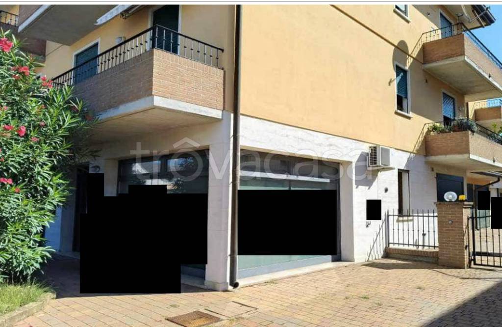 immagine annuncio 10 di 11