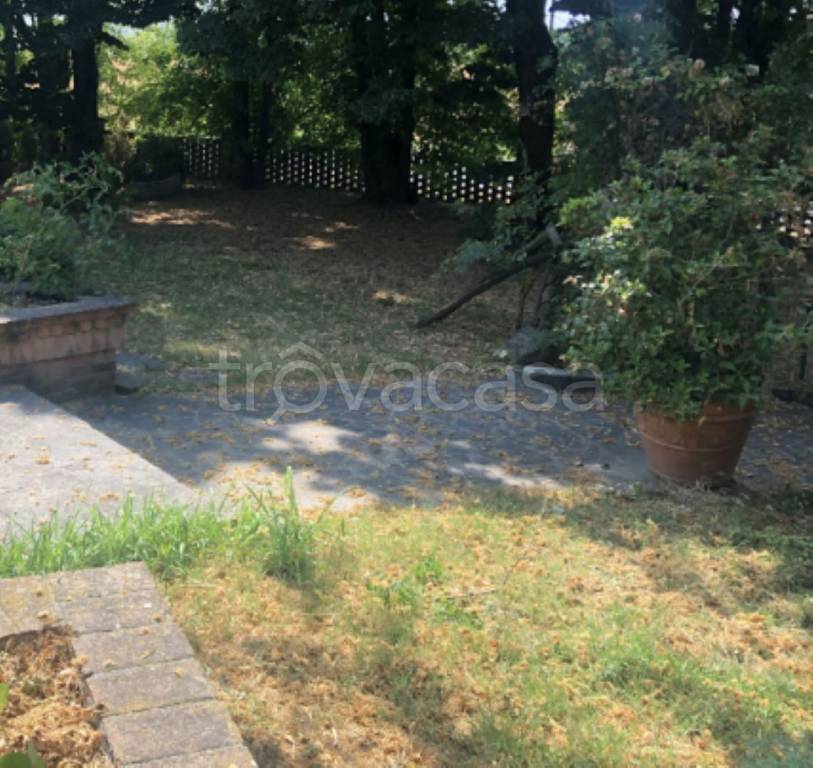 immagine annuncio 2 di 14