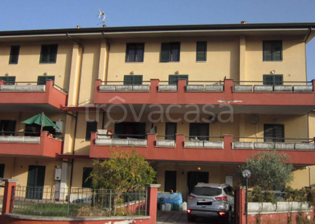 immagine annuncio 5 di 11