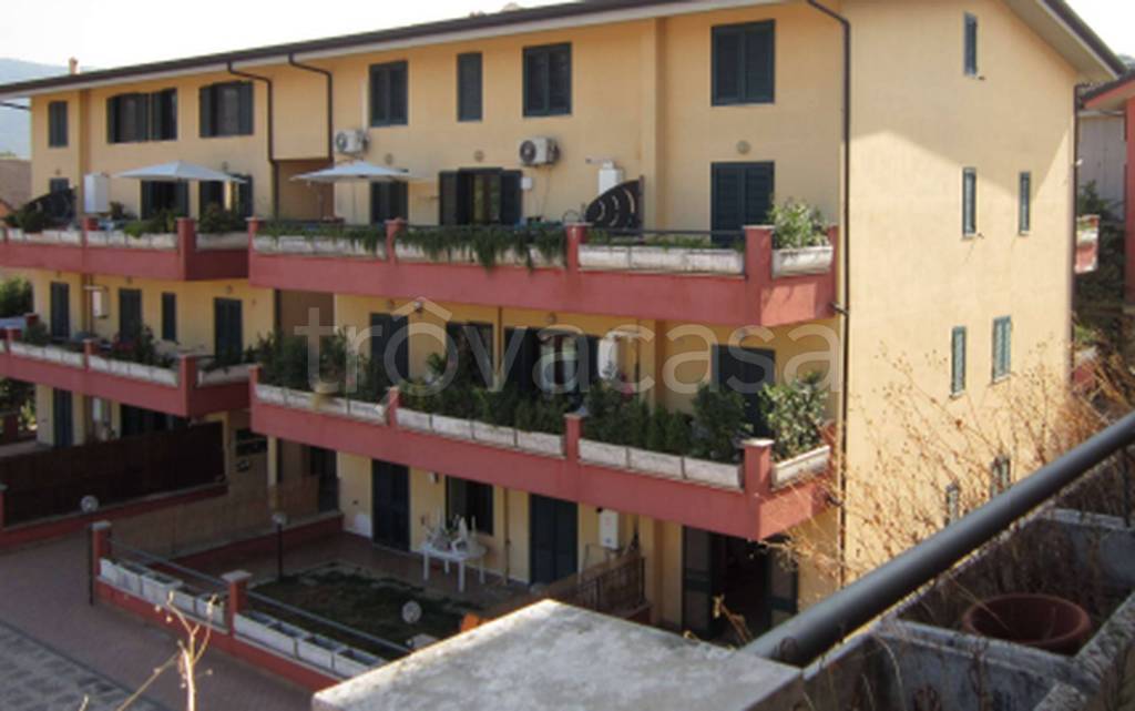 immagine annuncio 6 di 11