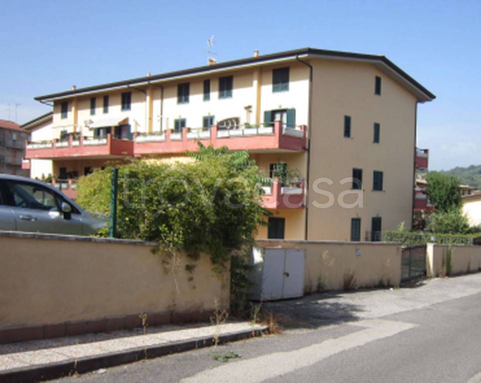 immagine annuncio 7 di 11