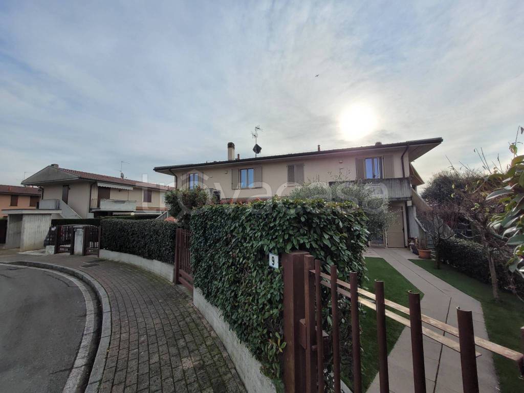 immagine annuncio 2 di 15