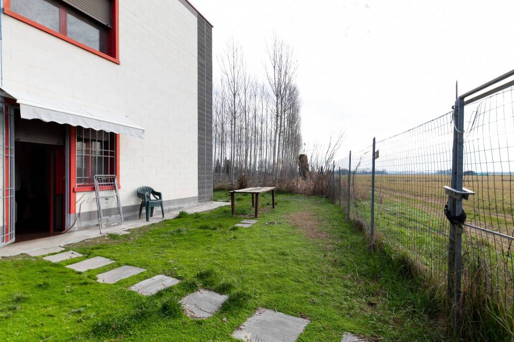 immagine annuncio 10 di 15