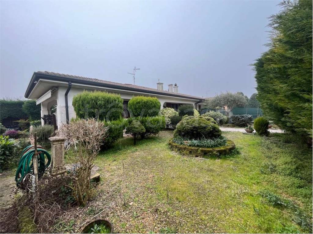 immagine annuncio 10 di 15