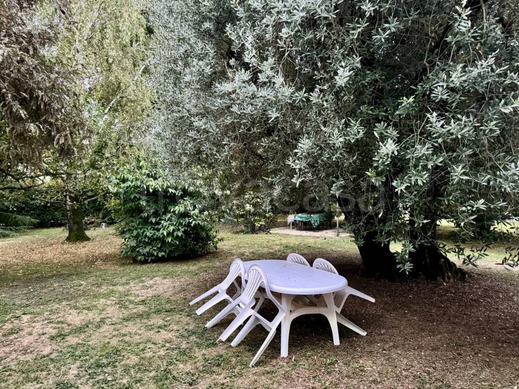 immagine annuncio 6 di 11