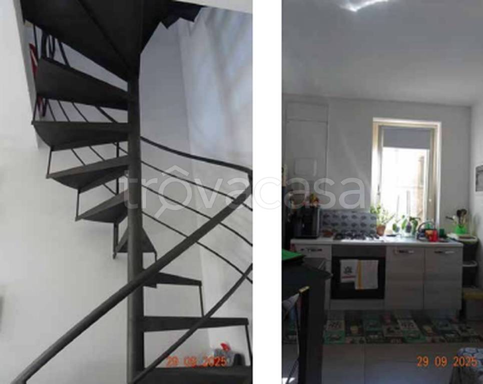 immagine annuncio 11 di 13