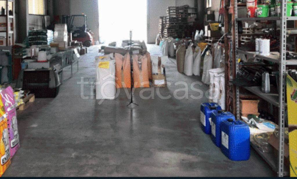 immagine annuncio 1 di 9