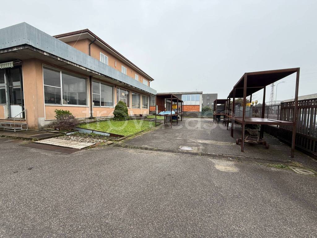 immagine annuncio 12 di 15