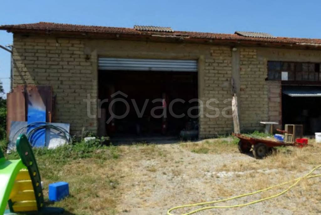 immagine annuncio 1 di 12