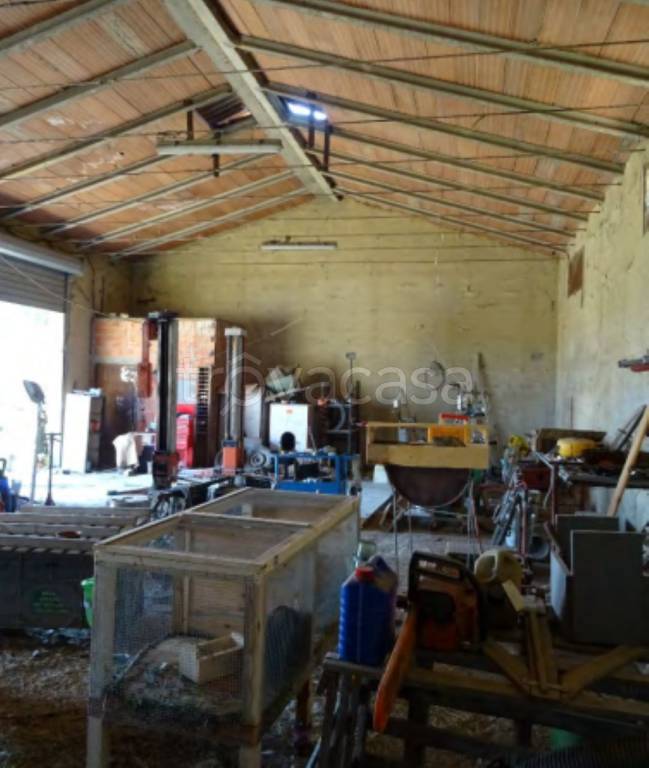 immagine annuncio 6 di 12