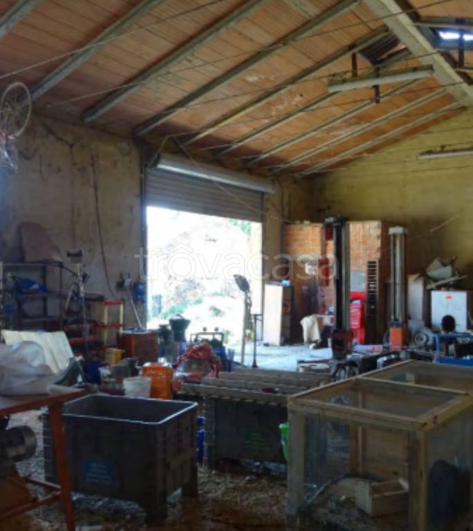 immagine annuncio 7 di 12