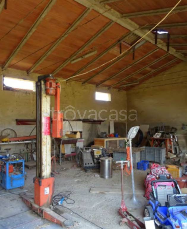 immagine annuncio 8 di 12