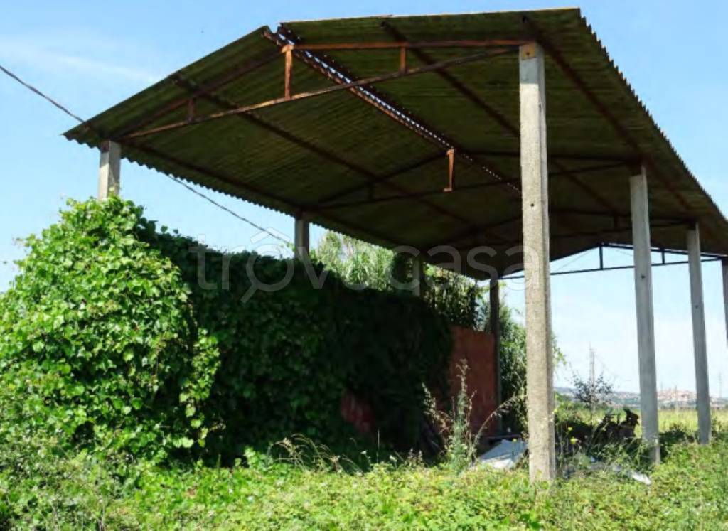 immagine annuncio 11 di 12