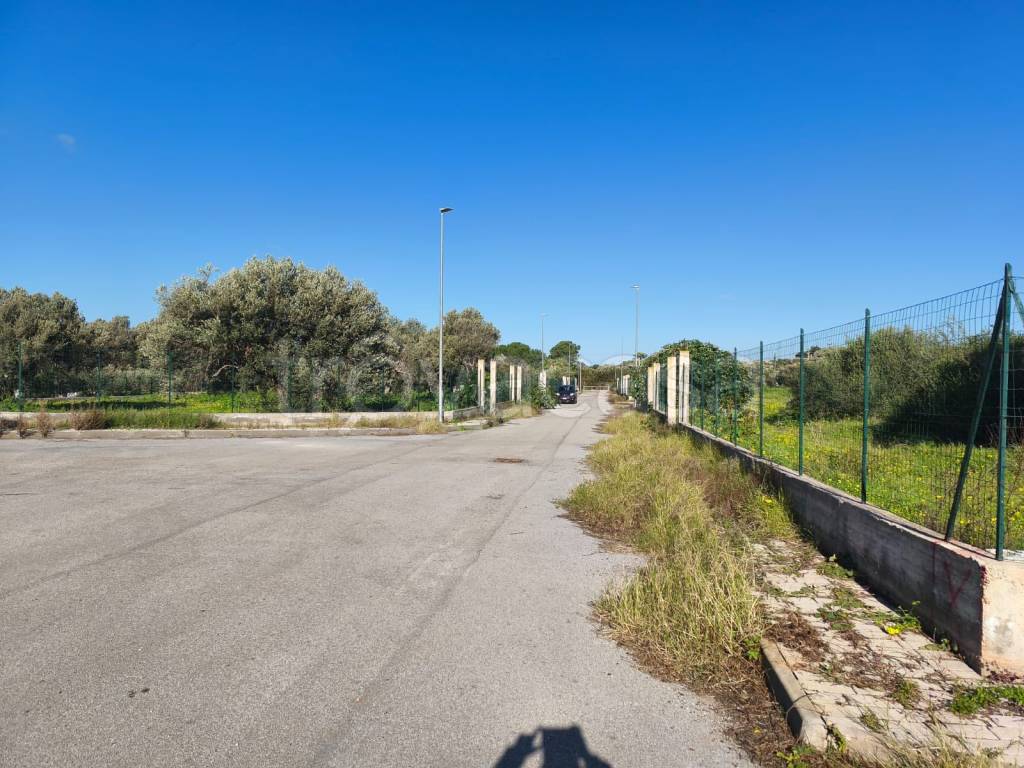 immagine annuncio 2 di 6