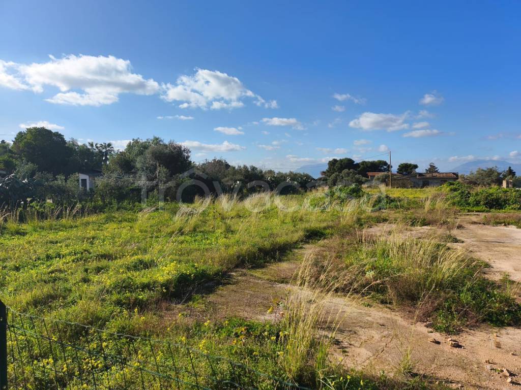 immagine annuncio 4 di 6