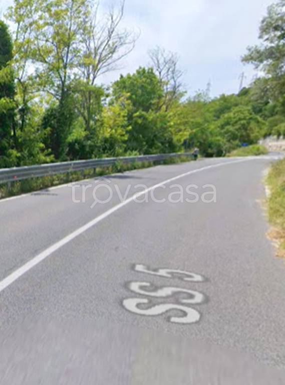 immagine annuncio 2 di 12