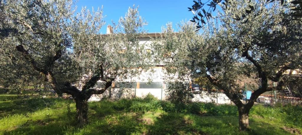 immagine annuncio 1 di 7