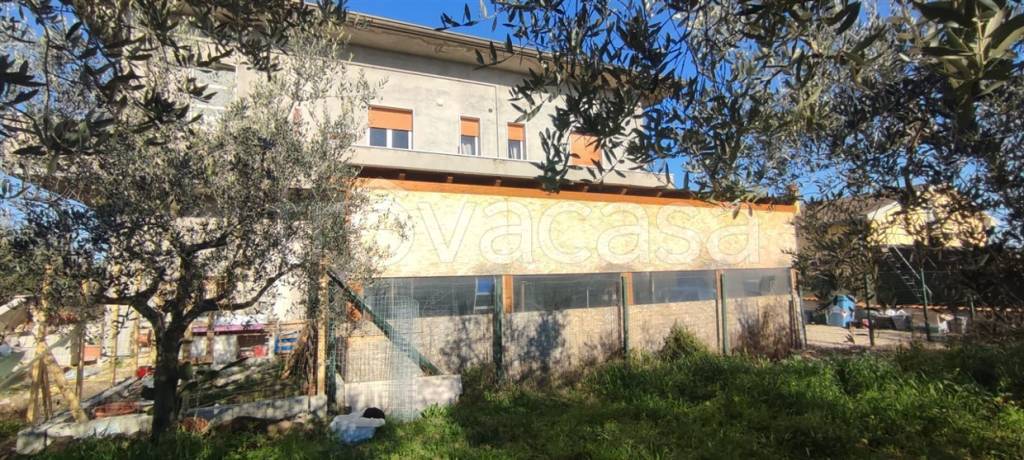 immagine annuncio 3 di 7