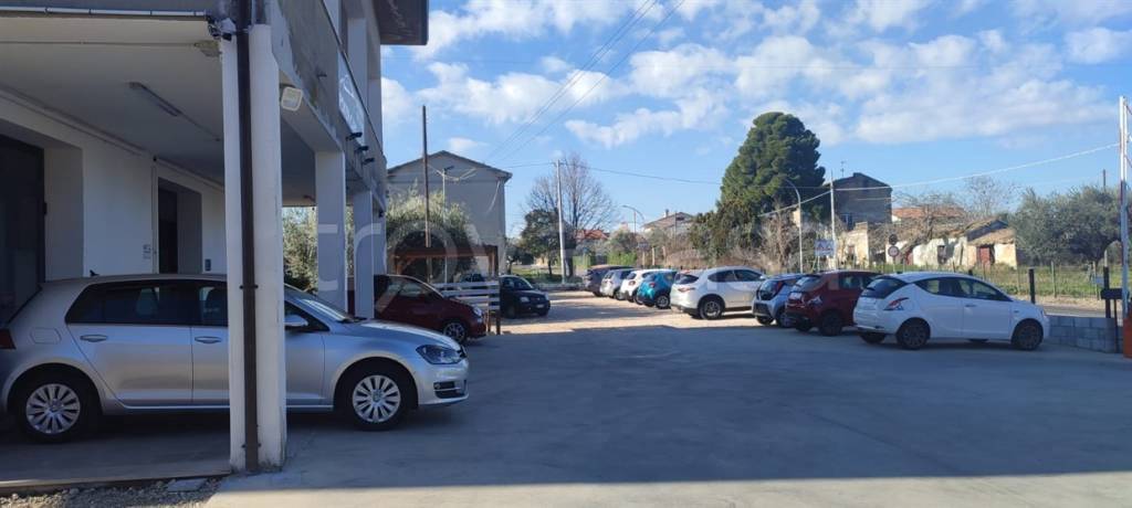 immagine annuncio 4 di 7