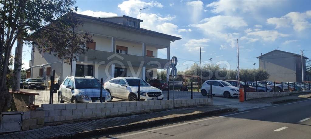 immagine annuncio 5 di 7