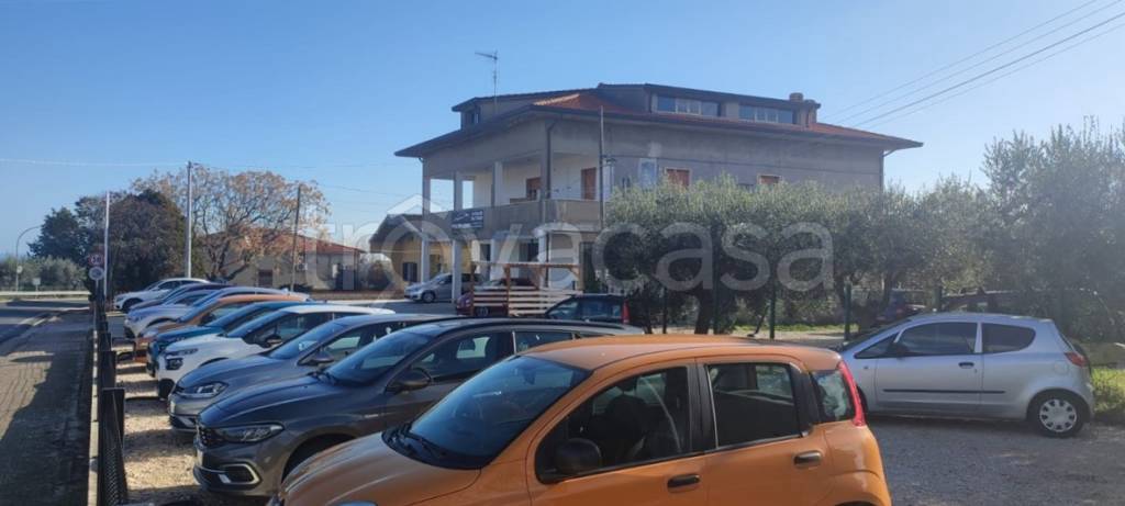 immagine annuncio 6 di 7