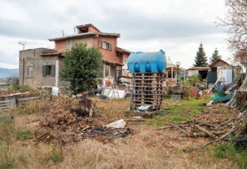 immagine annuncio 10 di 13