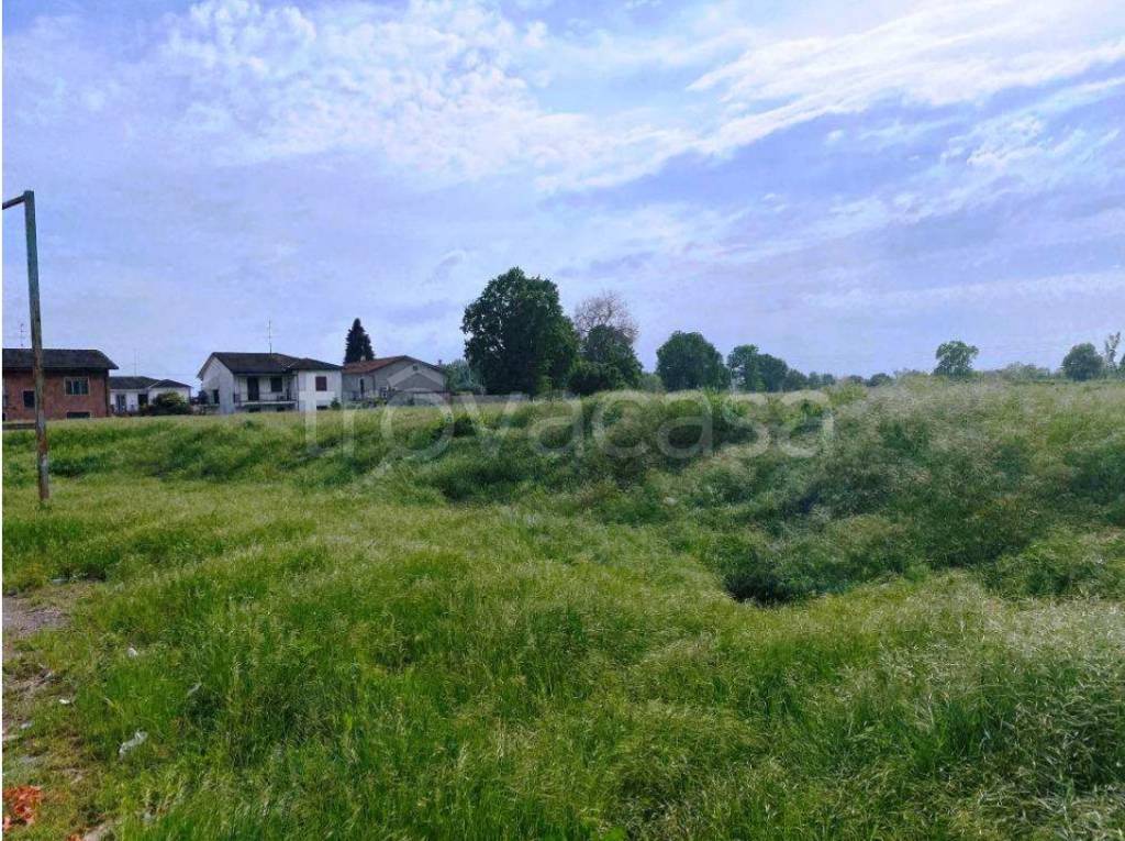 immagine annuncio 2 di 6