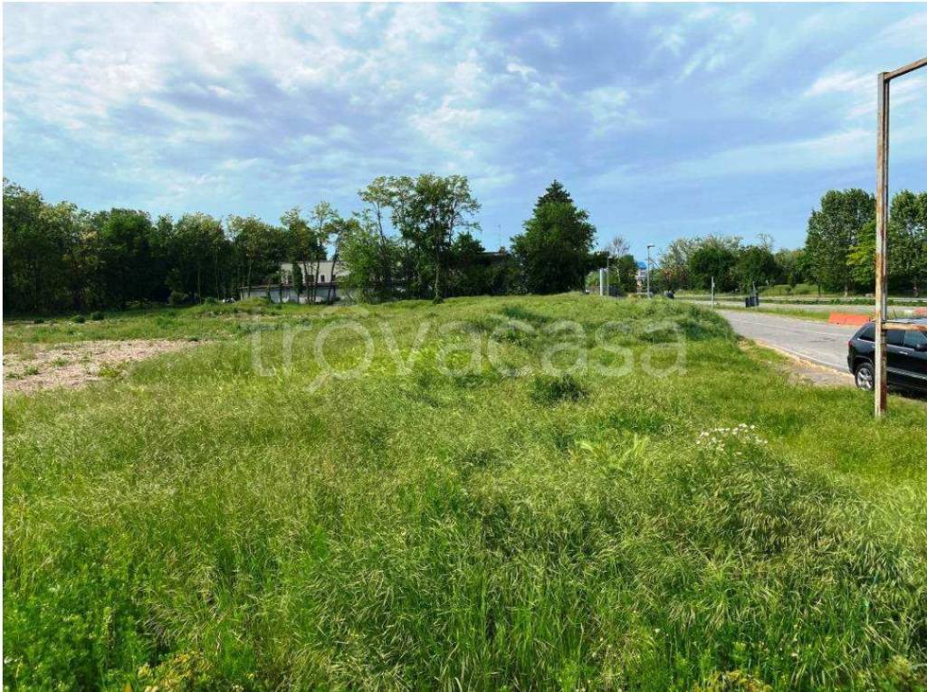 immagine annuncio 5 di 6