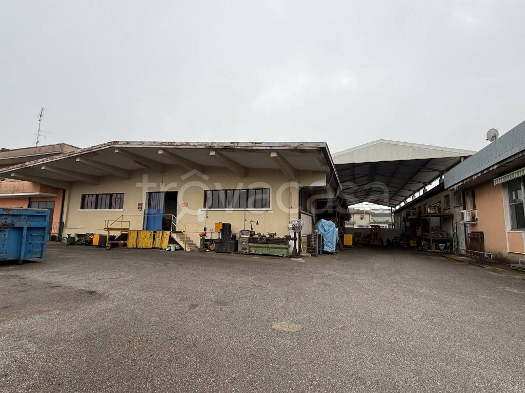 immagine annuncio 1 di 13