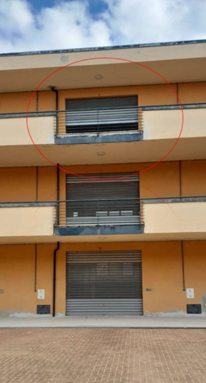 immagine annuncio 2 di 12