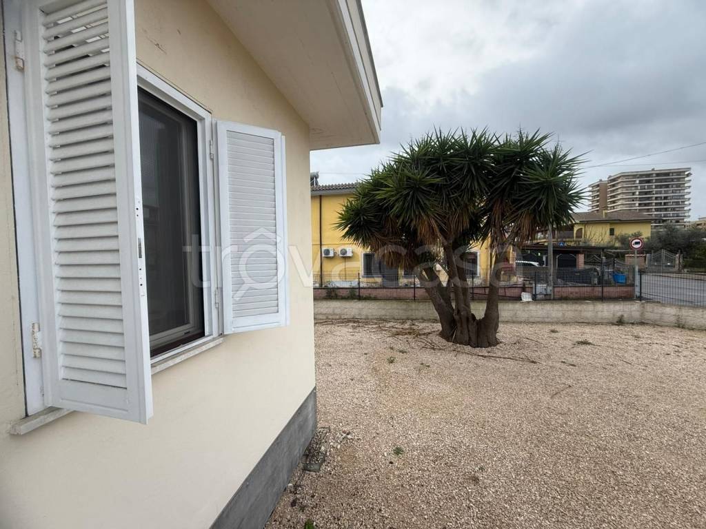 immagine annuncio 6 di 14